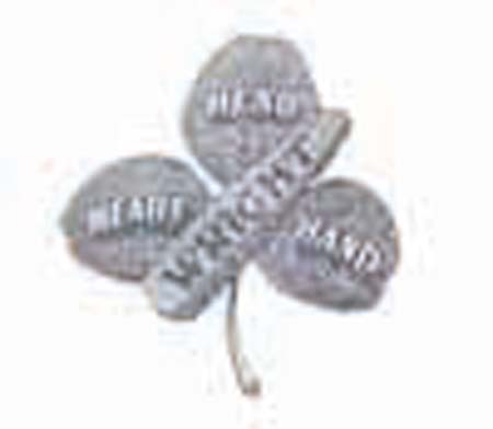 3leafclover