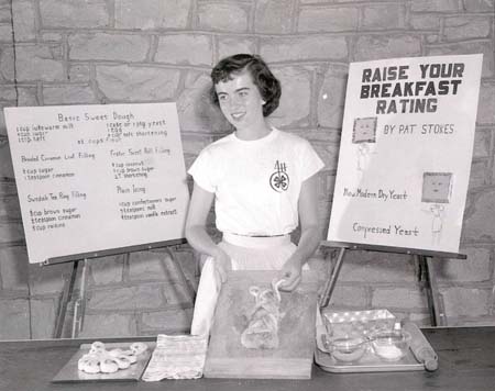bakedemo