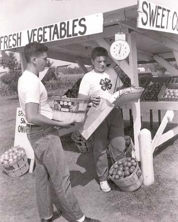 roadstand1960s