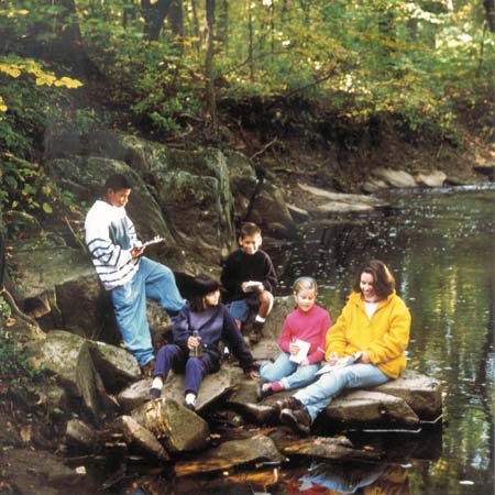 stream