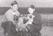 sheep1950s